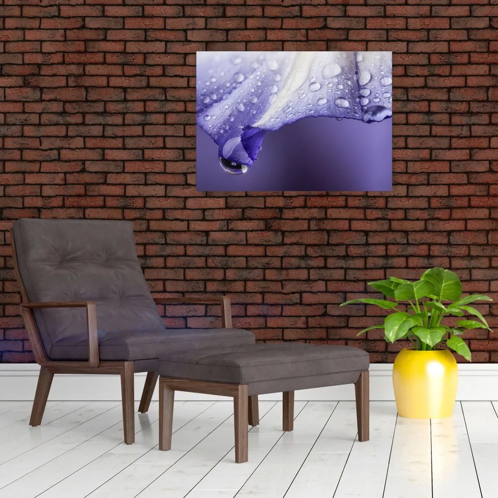 Tablou pe sticlă - Petală cu picături (70x50 cm)