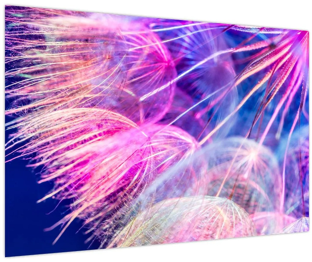 Tablou - Macro (90x60 cm)