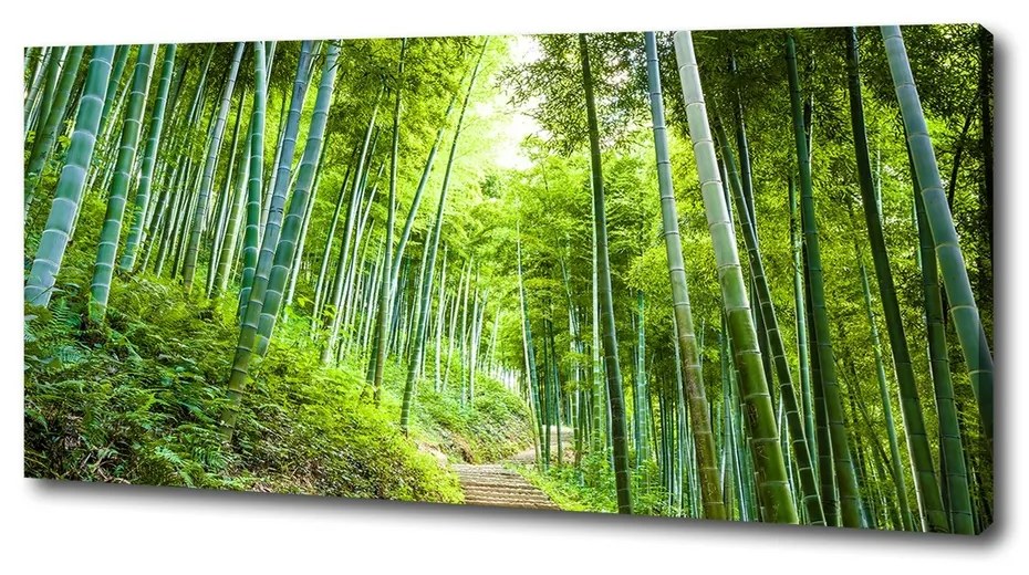 Print pe pânză Pădure de bambus