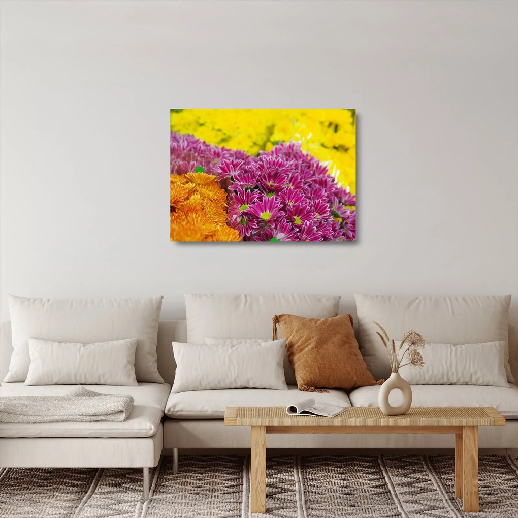 Tablou pe sticlă cu floarea roz (70x50 cm)