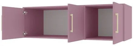 Dulap de haine cu suprastructură Lenona II D3 (prun + auriu) (cu oglindă). 1105680
