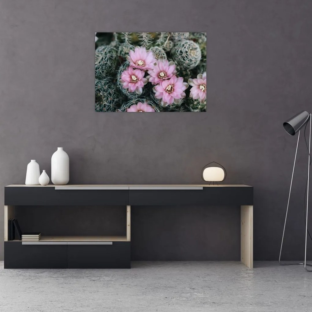 Tablou floare de cactus (70x50 cm)