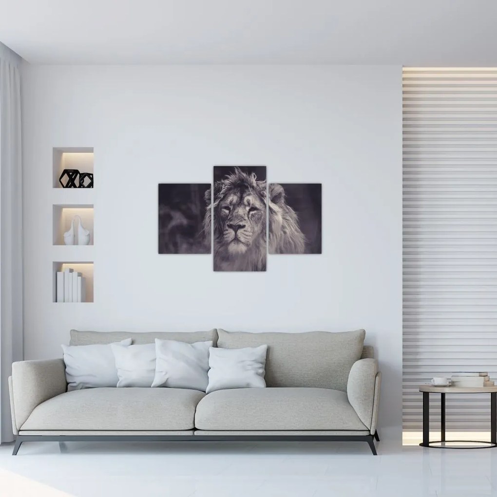 Tablou cu leu (90x60 cm)