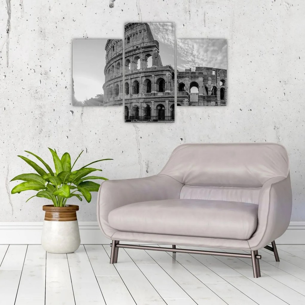 Tablou - Colosseum din Roma, alb-negru (90x60 cm)