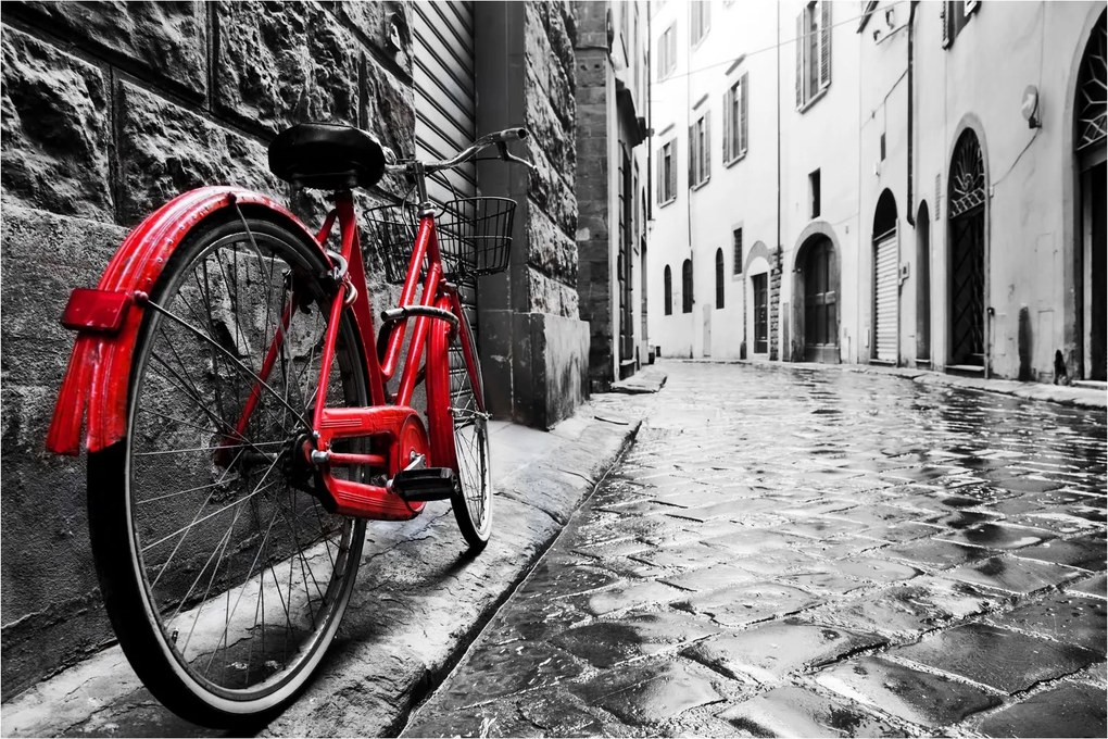Tablou - Bicicleta roșie pe o stradă pavată (90x60 cm)