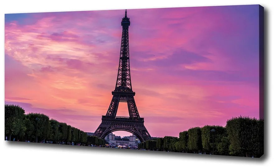Tablou pe pânză Turnul eiffel din paris