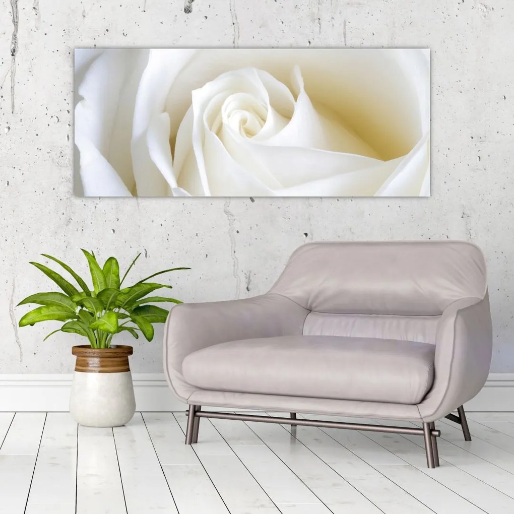 Tablou cu tandafir alb (120x50 cm)