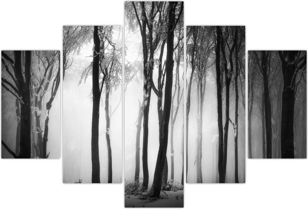 Tablou - Lup în pădurea întunecată (150x105 cm)