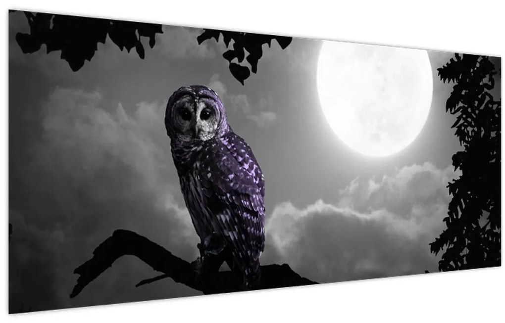 Tablou - Bufniță de noapte, bufniță mov (120x50 cm)