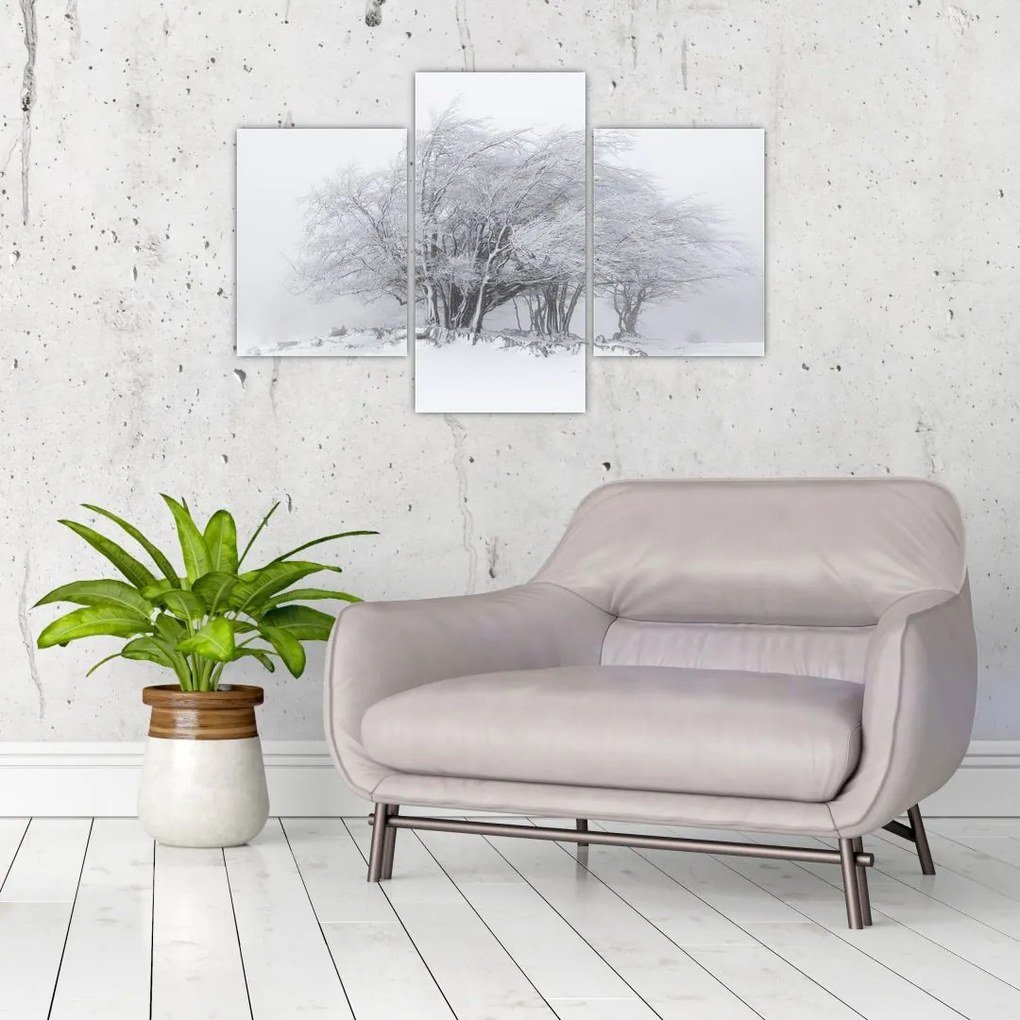 Tablou - Iarnă albă (90x60 cm)