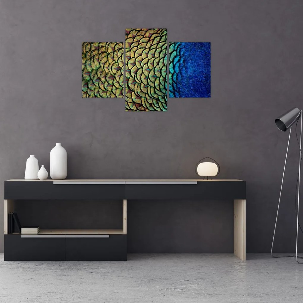 Tablou - Pene de păun (90x60 cm)