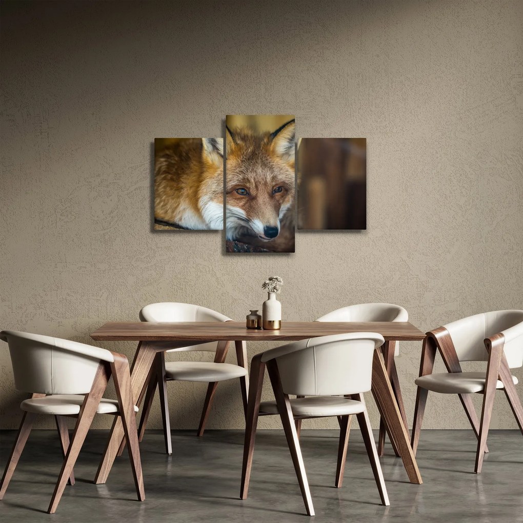 Tablou cu vulpe (90x60 cm)