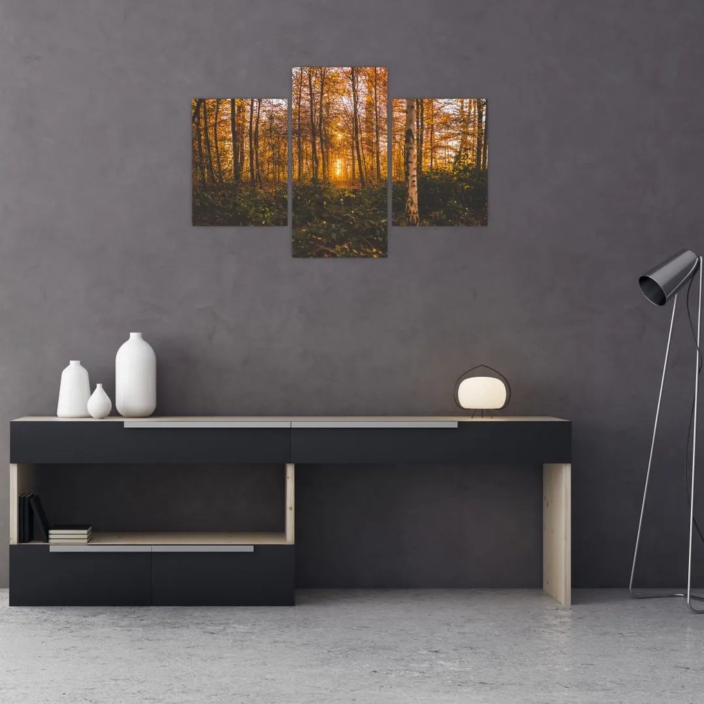 Tablou - Pădurea toamna (90x60 cm)