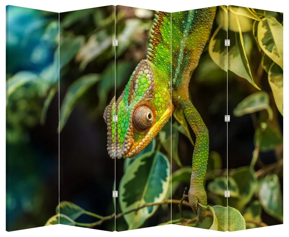 Paravan - Cameleon (210x170 cm)