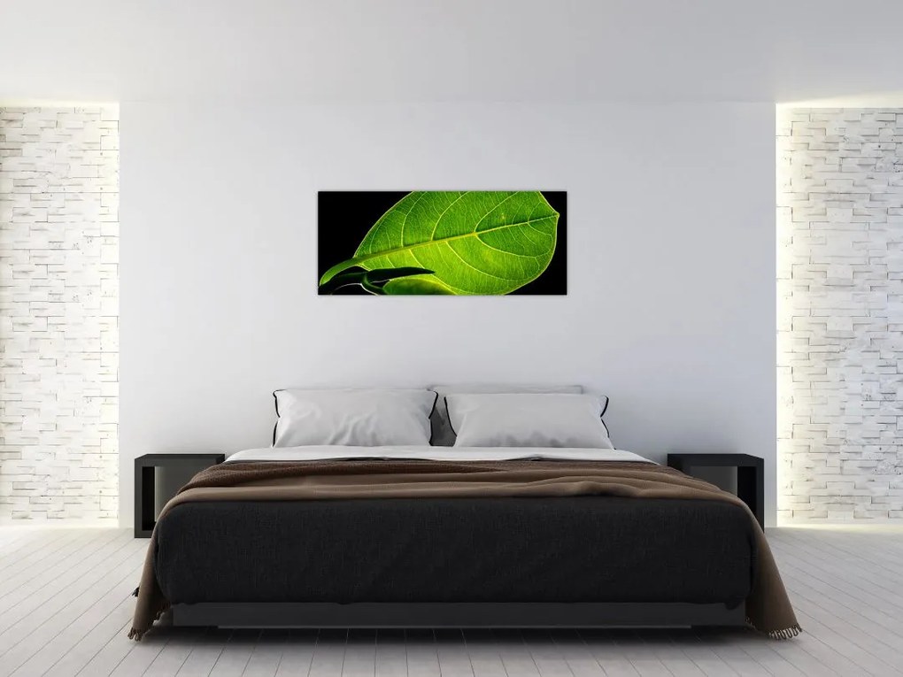 Tablou - frunză verde (120x50 cm)