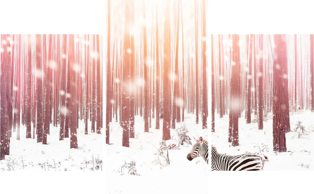 Tablou - Zebra în pădurea înzăpezită (90x60 cm)