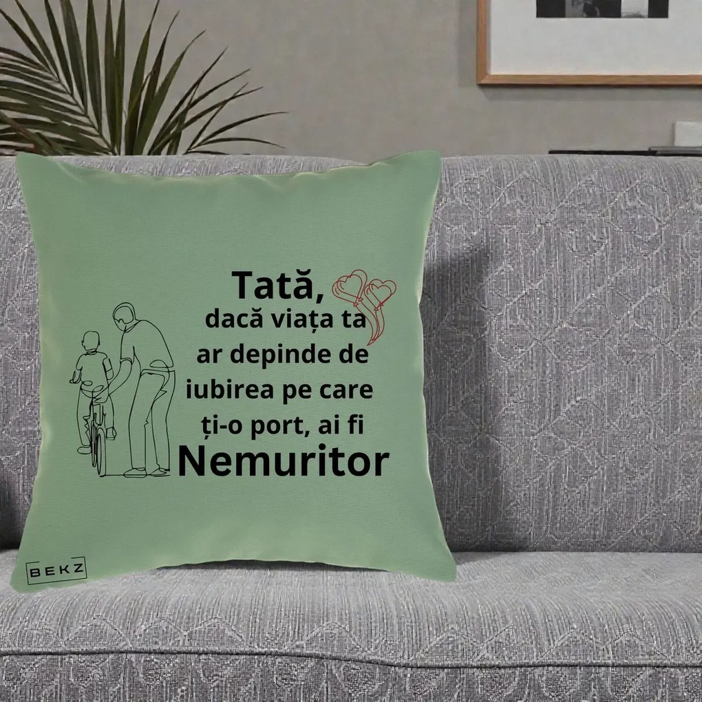 Cadou pentru Tata - Perna Personalizata Tata Nemuritor Bicicleta, 40x40 cm, Verde, Husa Detasabila, Perna Inclusa, BEKZ®