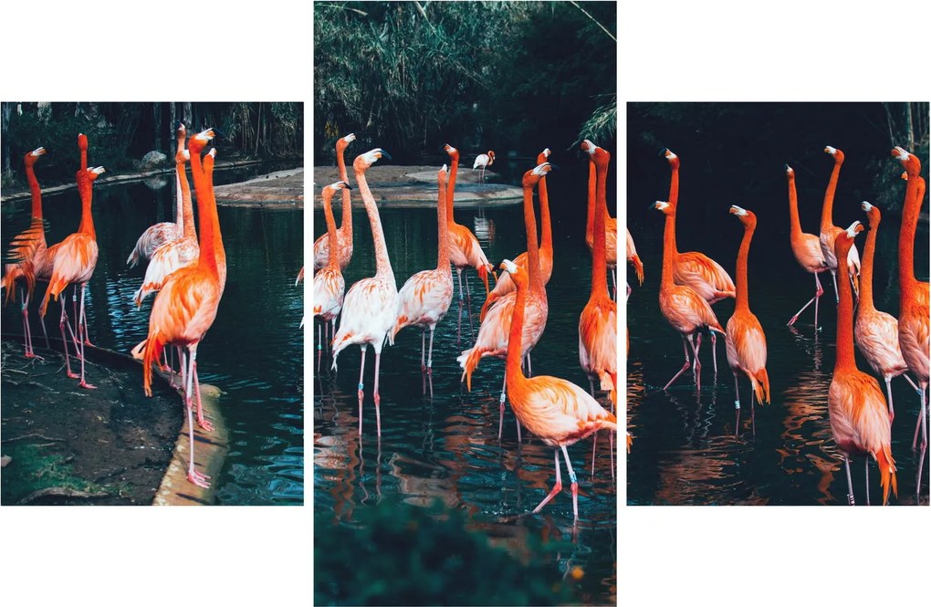 Tablou - turmă de flamingo (90x60 cm)