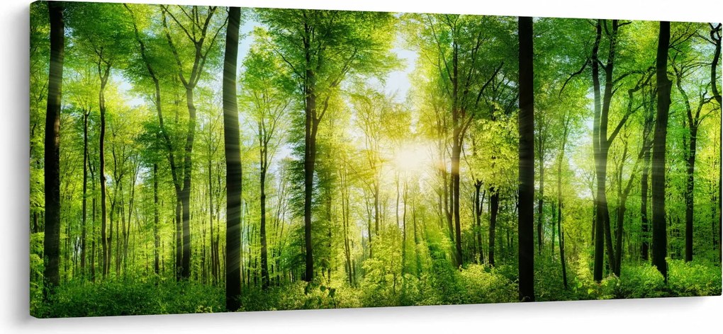 Tablou - Răsărit în pădure (120x50 cm)