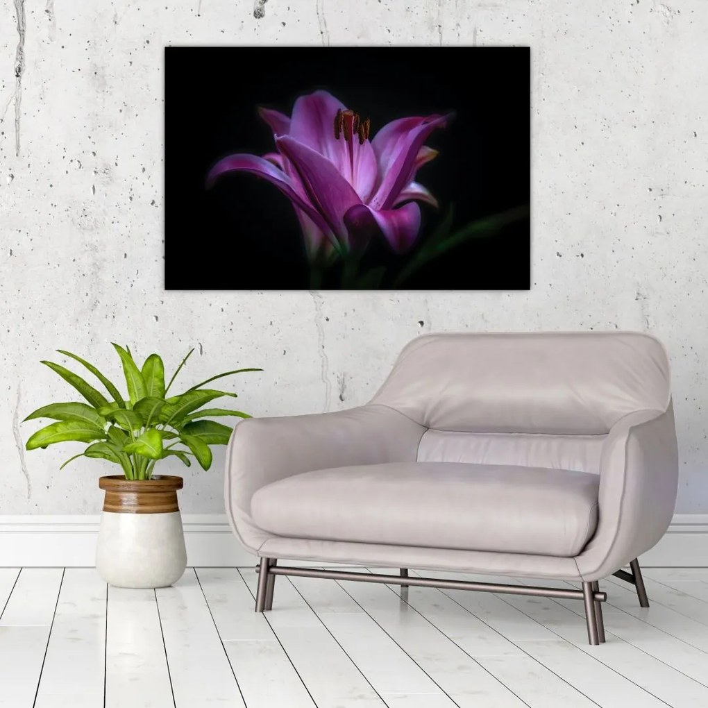Tablou crinul (90x60 cm)