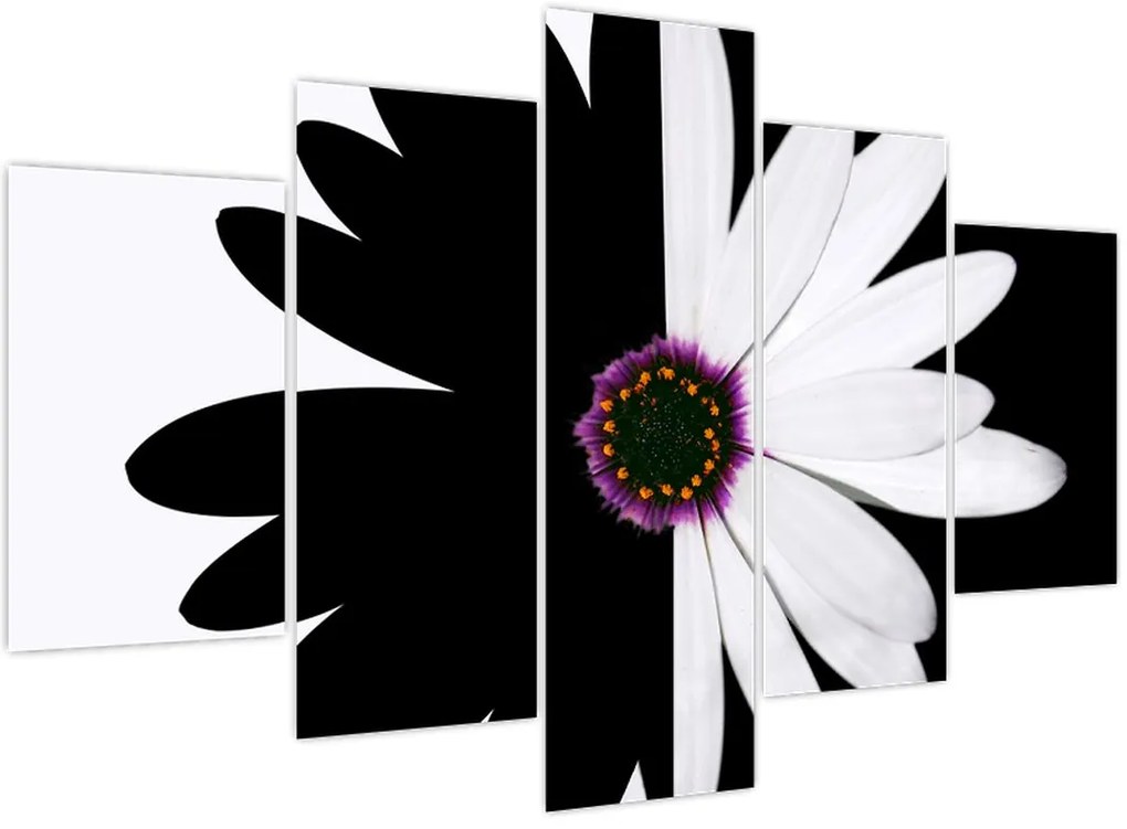 Tablou - Floare, alb- negru (150x105 cm)