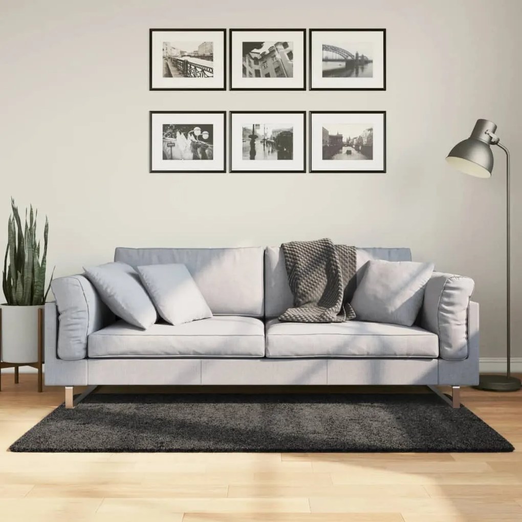 vidaXL Covor pufos &quot;PAMPLONA&quot; cu fire înalte antracit modern 80x150 cm