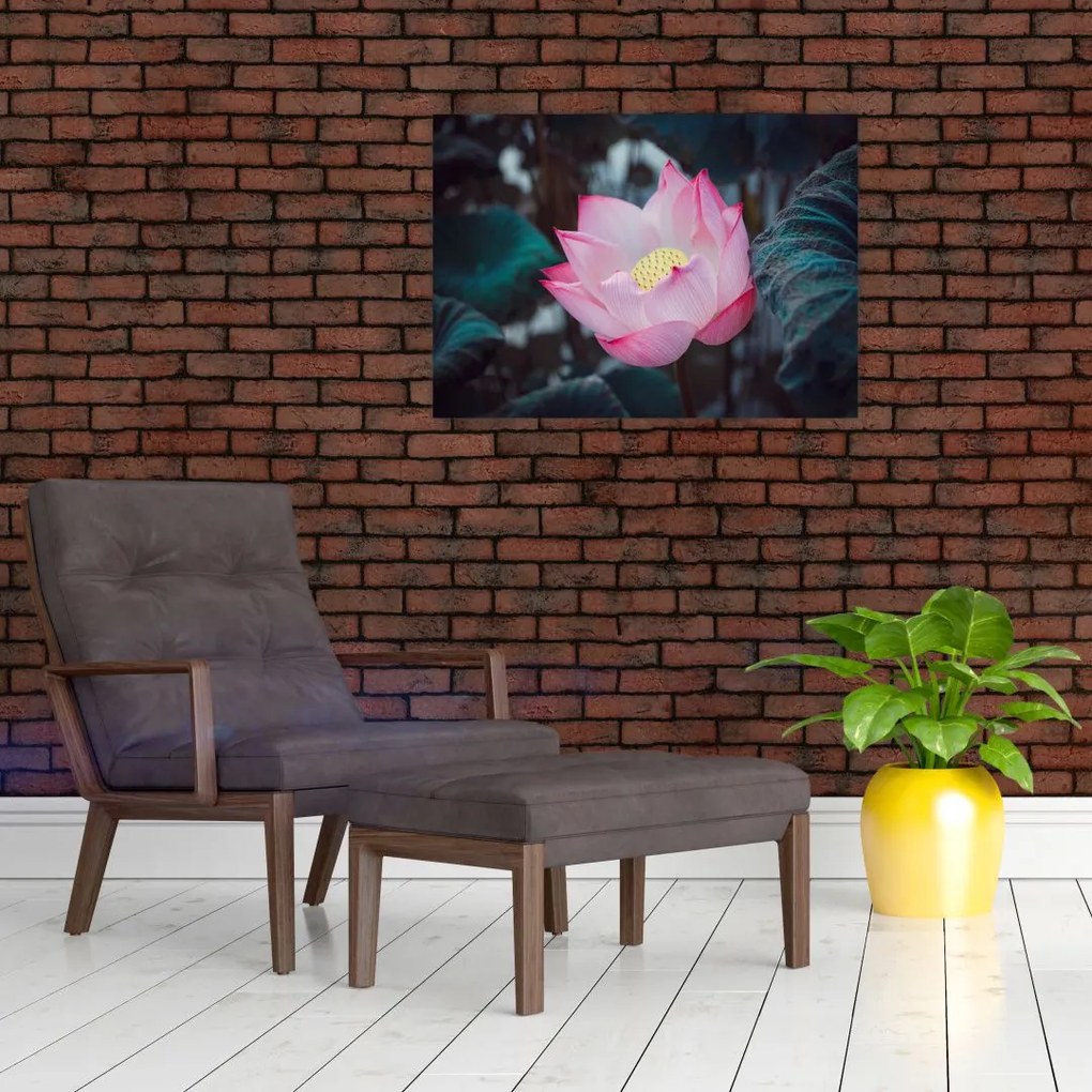 Tablou cu floare roz (70x50 cm)