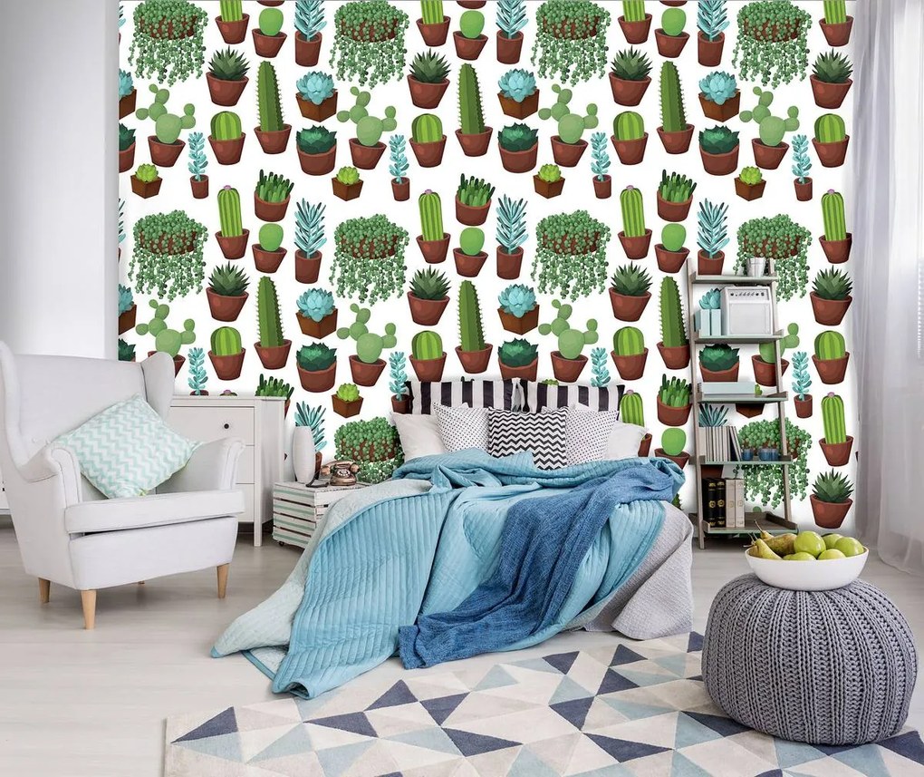Fototapet - Cactus (254x184 cm)
