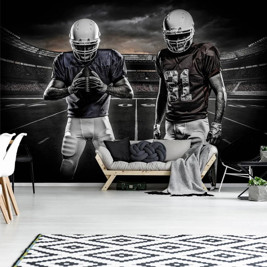 Fototapet - Stadionul de rugby (152,5x104 cm)