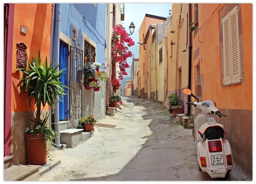 Tablou cu strada din Sardinia (70x50 cm)