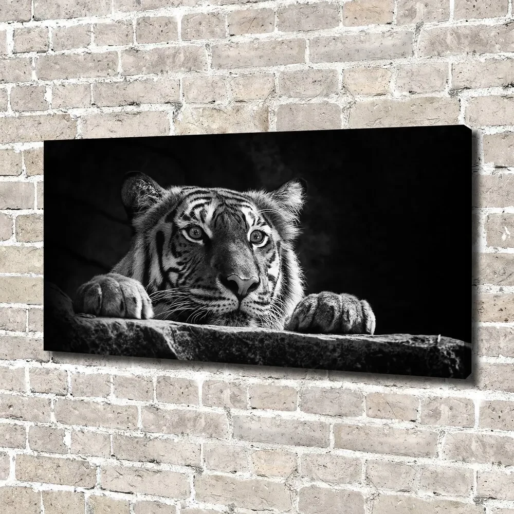 Tablou pe pânză canvas Tigru