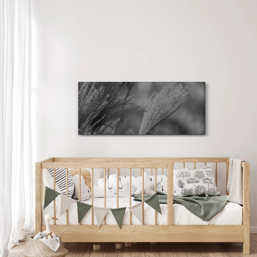 Tablou - Iarbă de pampas uscată (120x50 cm)
