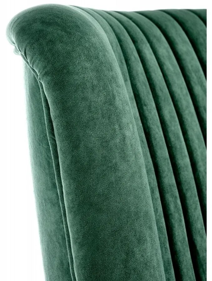 Fotoliu Delgado, verde/negru