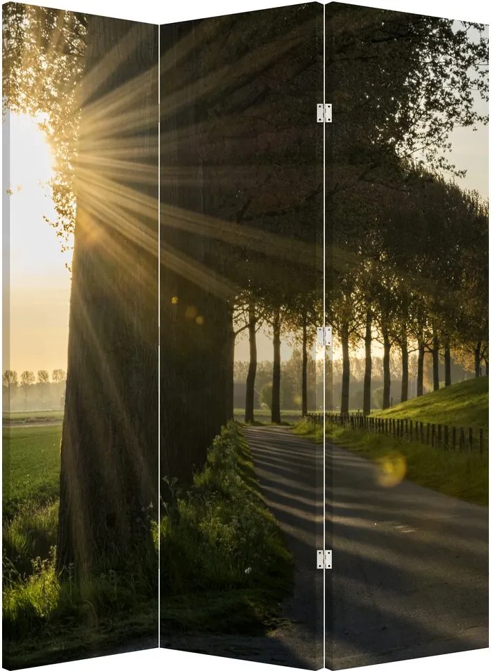 Paravan - Alee (126x170 cm)