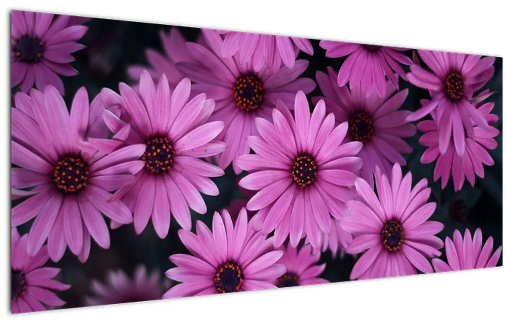 Tablou cu florile roz (120x50 cm), în 40 de alte dimensiuni noi