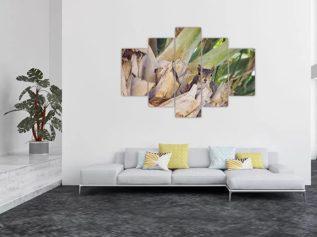 Tablou cu veverița în copaci (150x105 cm)