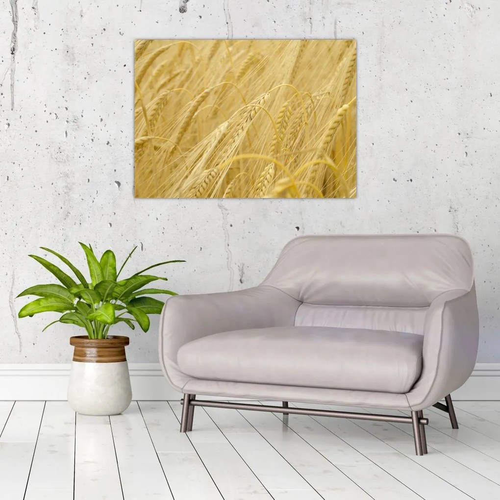 Tablou - Orz (70x50 cm)