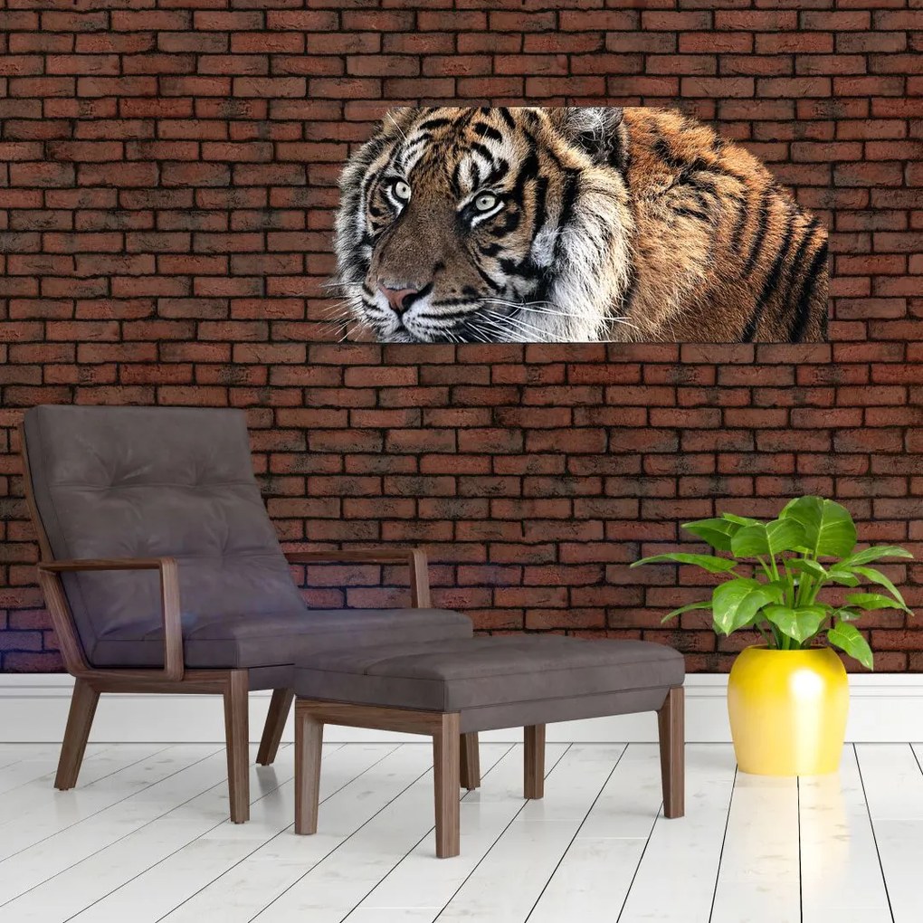 Tablou cu tigrul (120x50 cm)