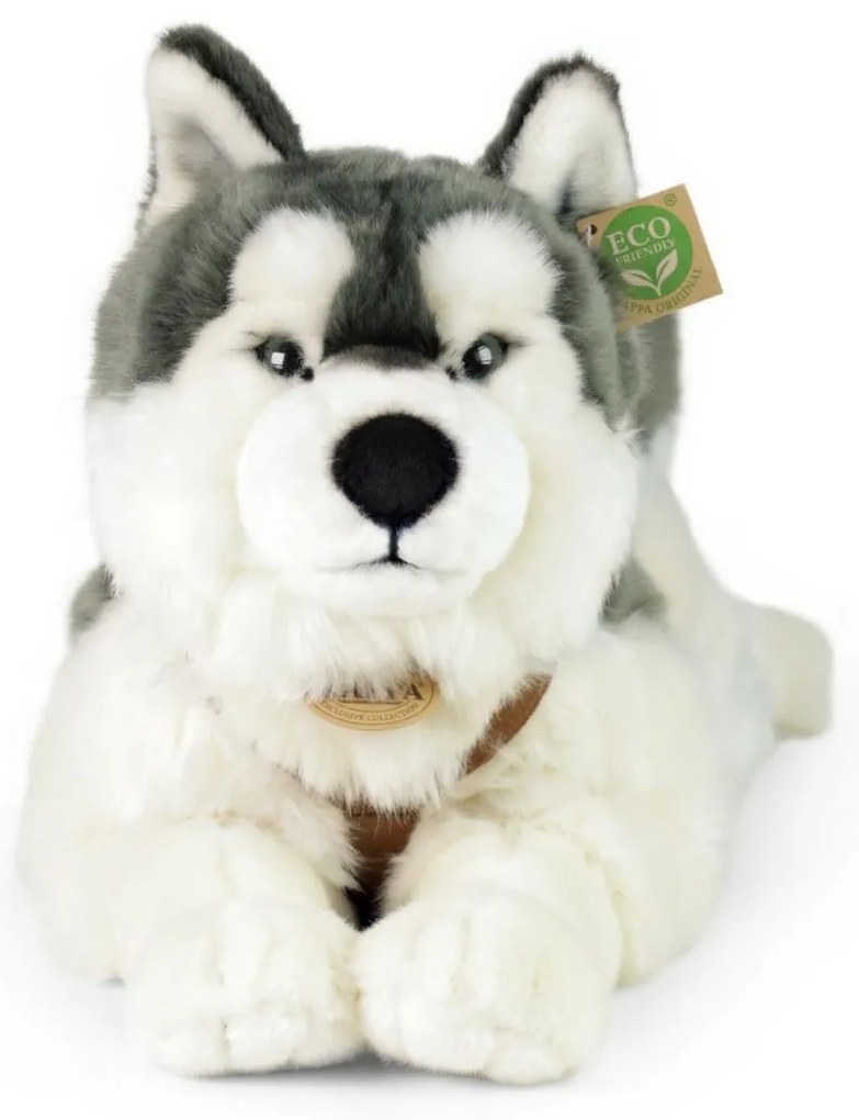Jucărie pluș Rappa câine husky cu ham 60 cm ECO - FRIENDLY
