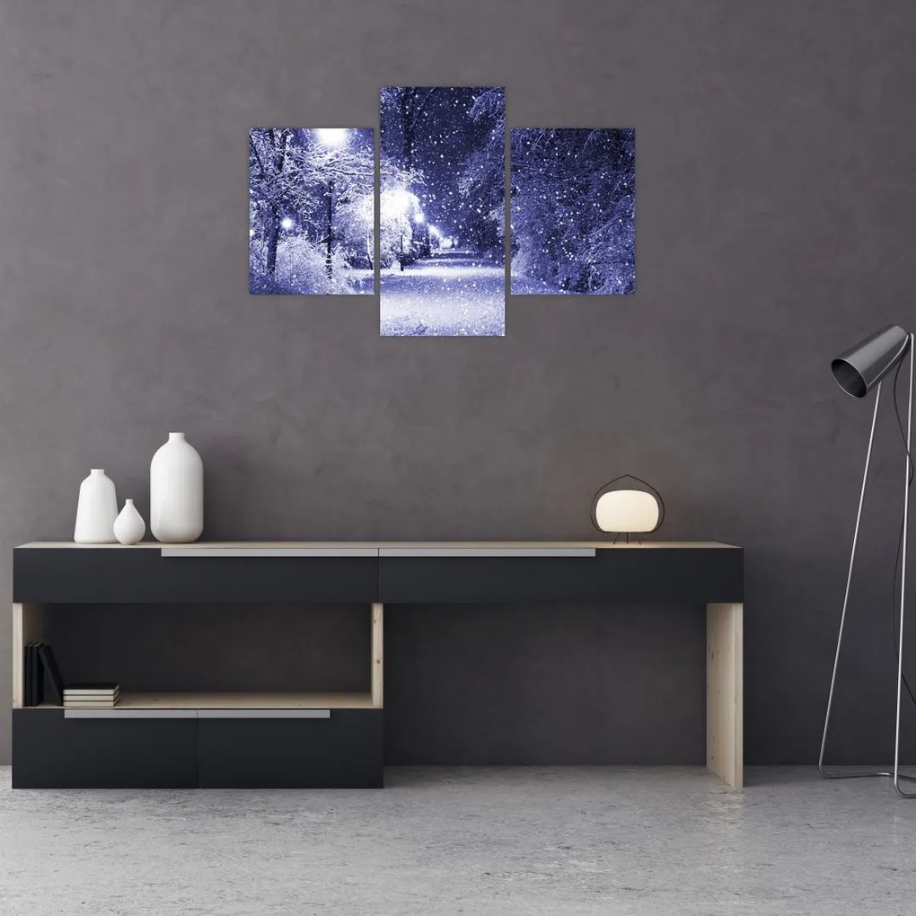 Tablou - Noaptea magică de iarnă (90x60 cm)