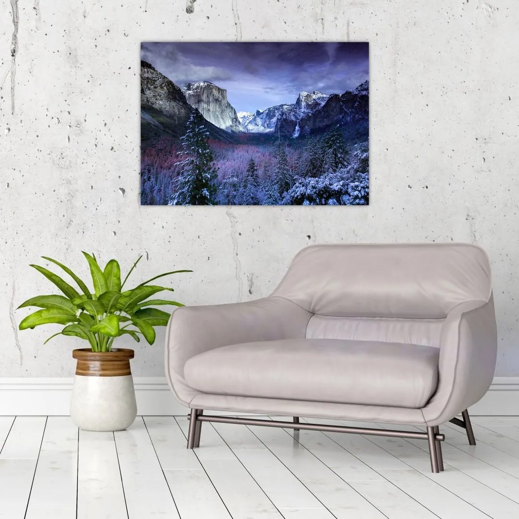 Tablou - Yosemite, USA (70x50 cm)
