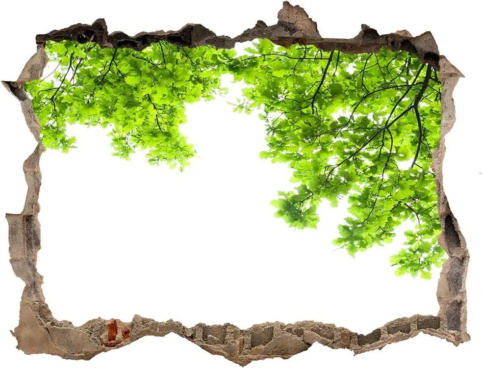 Autocolant 3D gaura cu priveliște Frunze de stejar