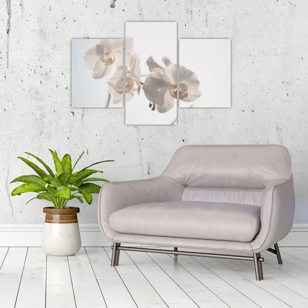 Tablou cu orhidee albă (90x60 cm)