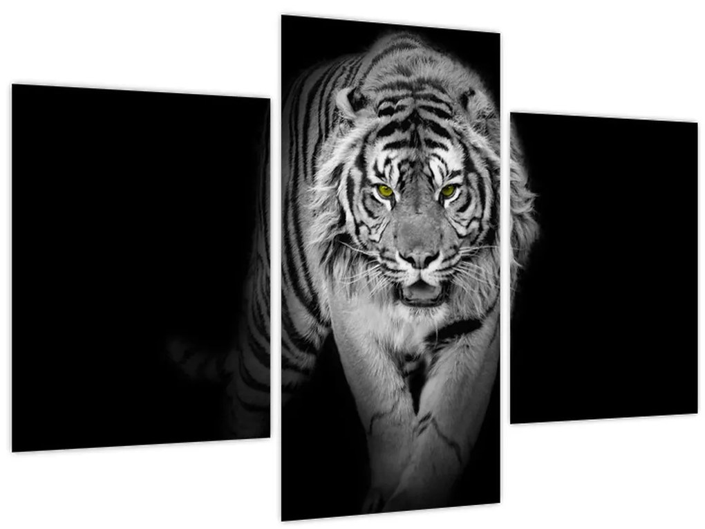 Tablou - Tigru cu ochi galbeni (90x60 cm)