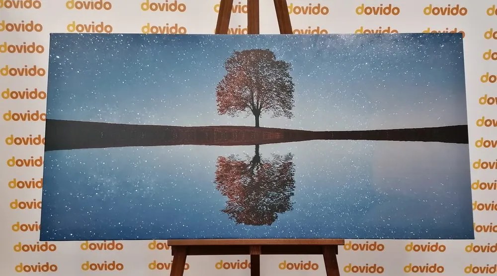 Tablou cer înstelat deasupra unui copac singuratic