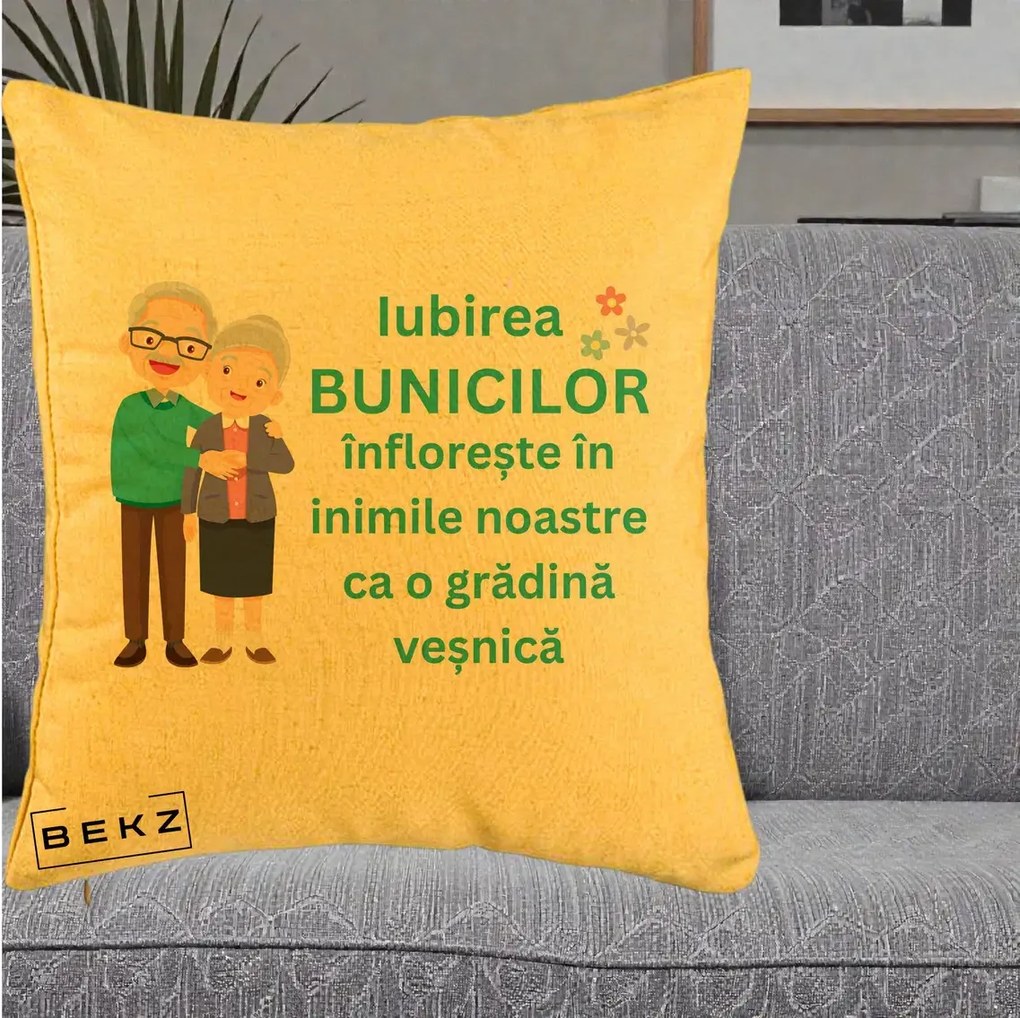 Cadou pentru Bunici - Perna Personalizata Bunicii Iubirea Infloreste Cuplu Senior Teal, 40x40 cm, Galben, Husa Detasabila, Perna Inclusa, BEKZ®