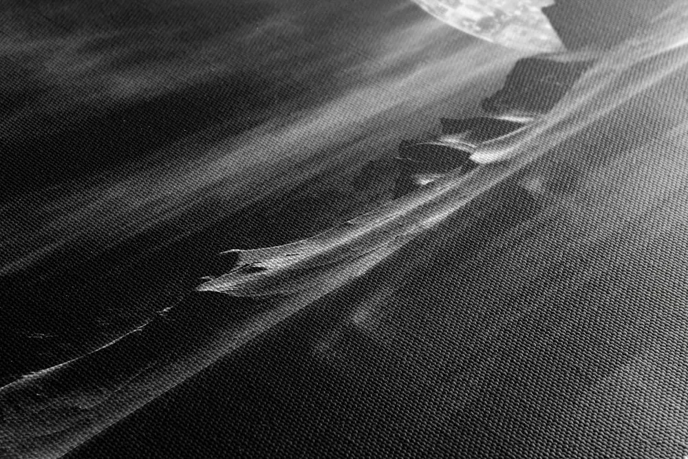 Tablou peisajul futurist în design alb-negru