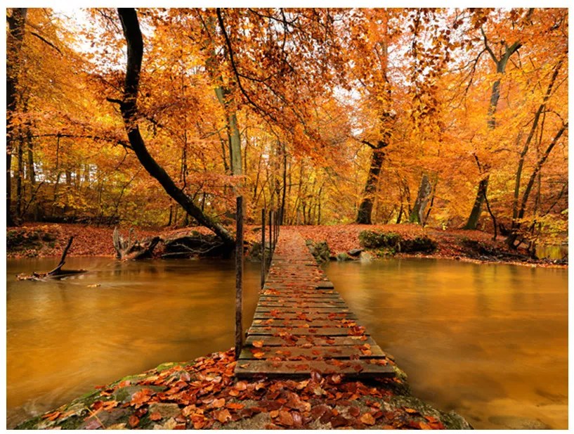 Fototapet - Autumn bridge