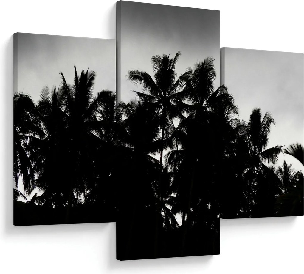 Tablou alb negru - palmieri (90x60 cm)