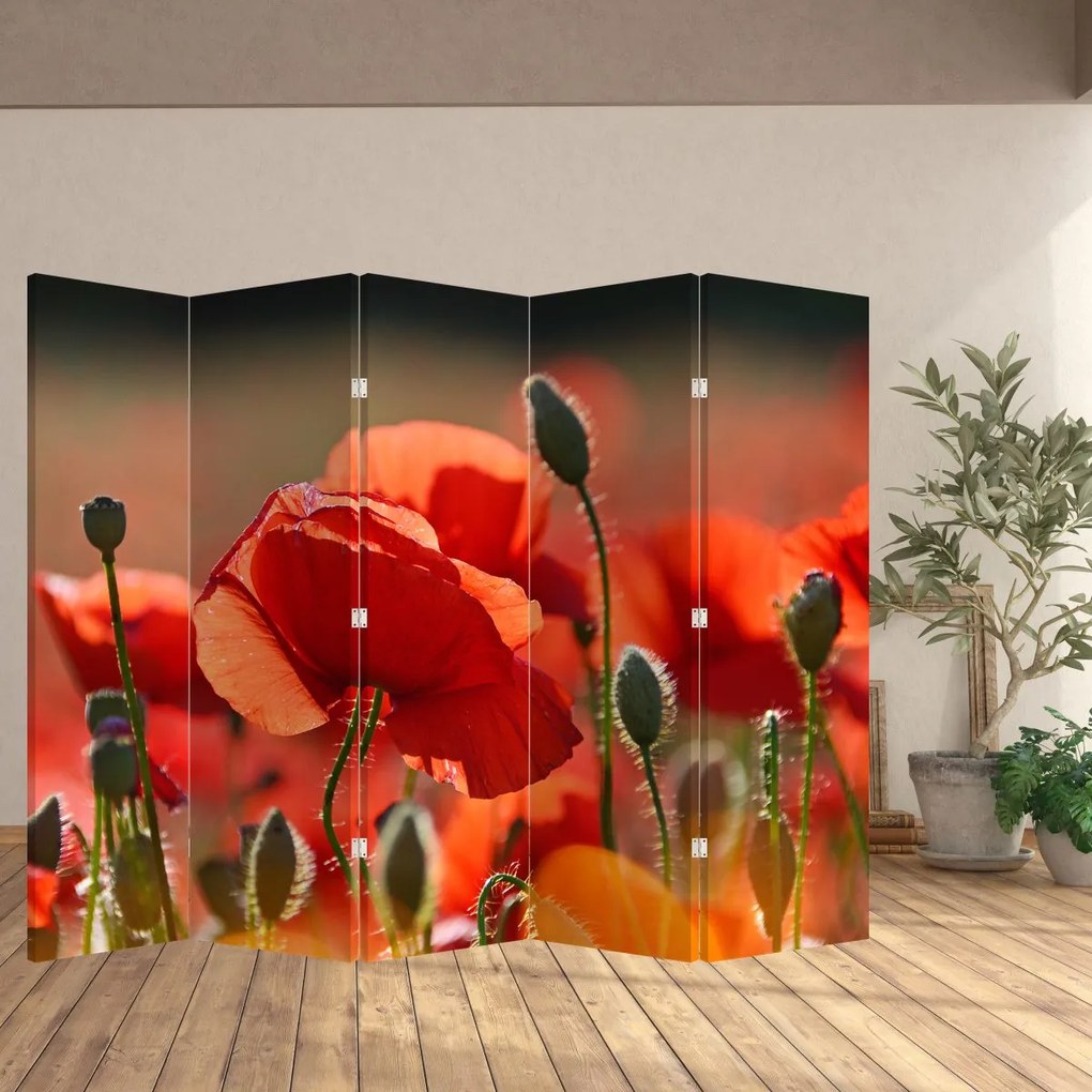 Paravan - Flori de maci (210x170 cm)